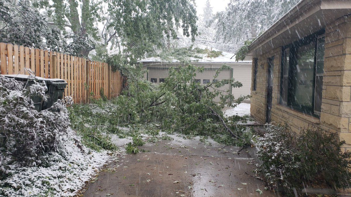 Branches in Lincoln